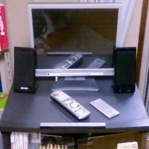 20090806-telebi.jpg