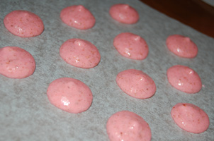 20100112-macaron01.jpg