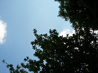 20100501-100_3989.jpg